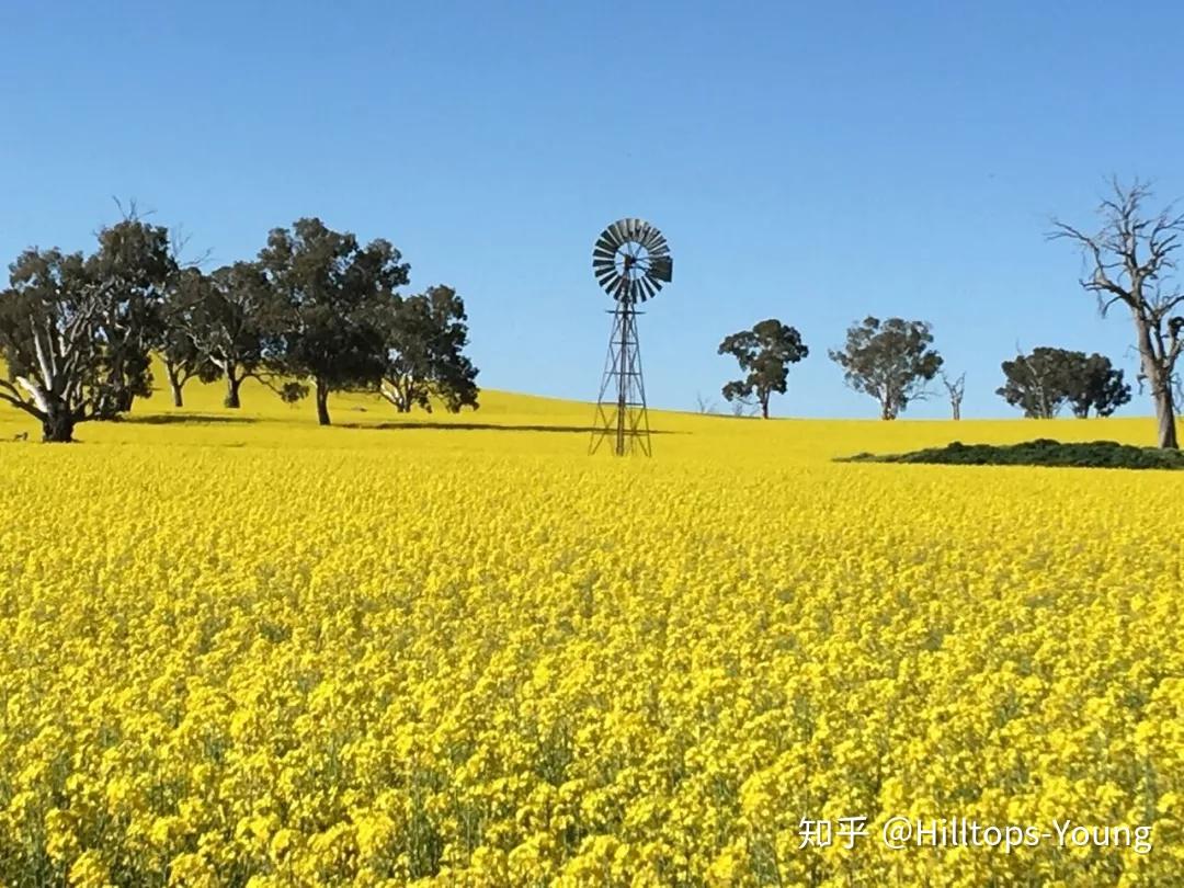 包含清晨突围战来临，圣安东尼奥马刺围绕荷甲外线爆发，媒体盛赞，球探报告显示潜力的词条-爱游戏官方网站